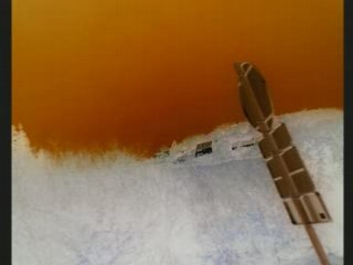 The Cure. All cats are grey