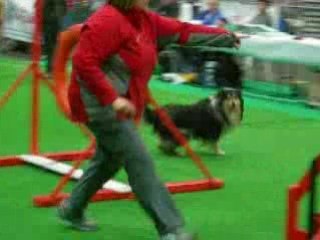 2 em degré courtrai 2008 umi christal