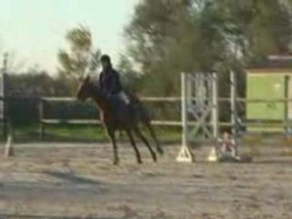 Johanne et Lutin