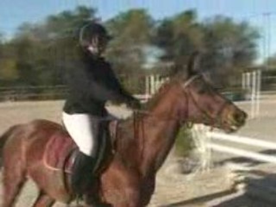 Gaby et Lutin