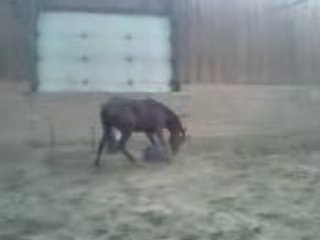 Lover Boy joue au soccer 2