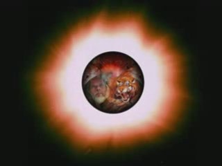 Günni - Mein Liebeslied