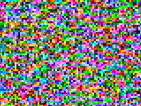 Choosing the right (Network Marketing) business