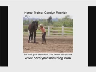 Horse Trainer Carolyn Resnick