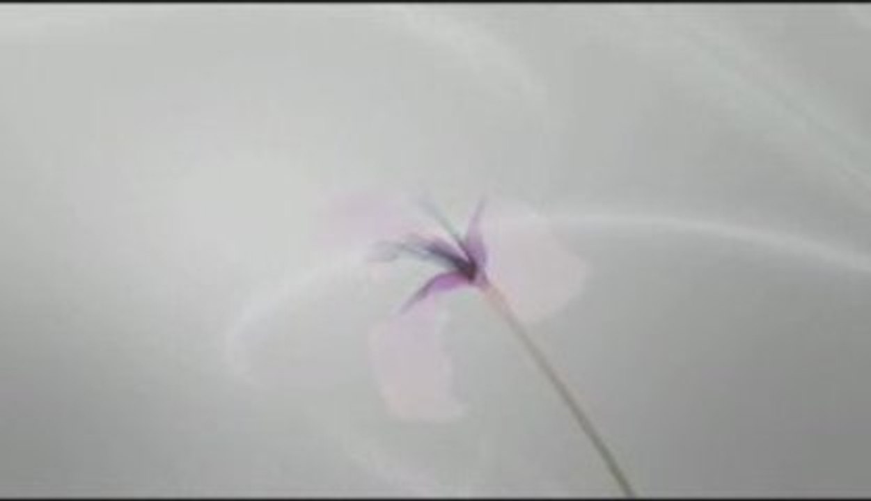 Eri Nobuchika - sing a song