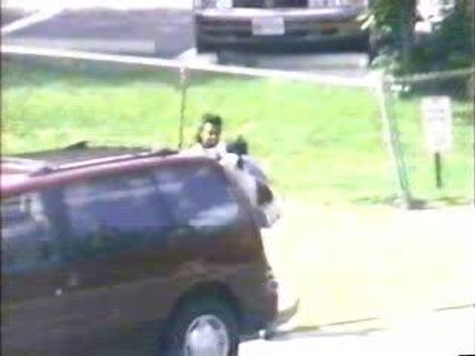 Dogs Attack Kids in Busy City Street