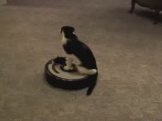 Roomba Driver - Chat sur un aspirateur