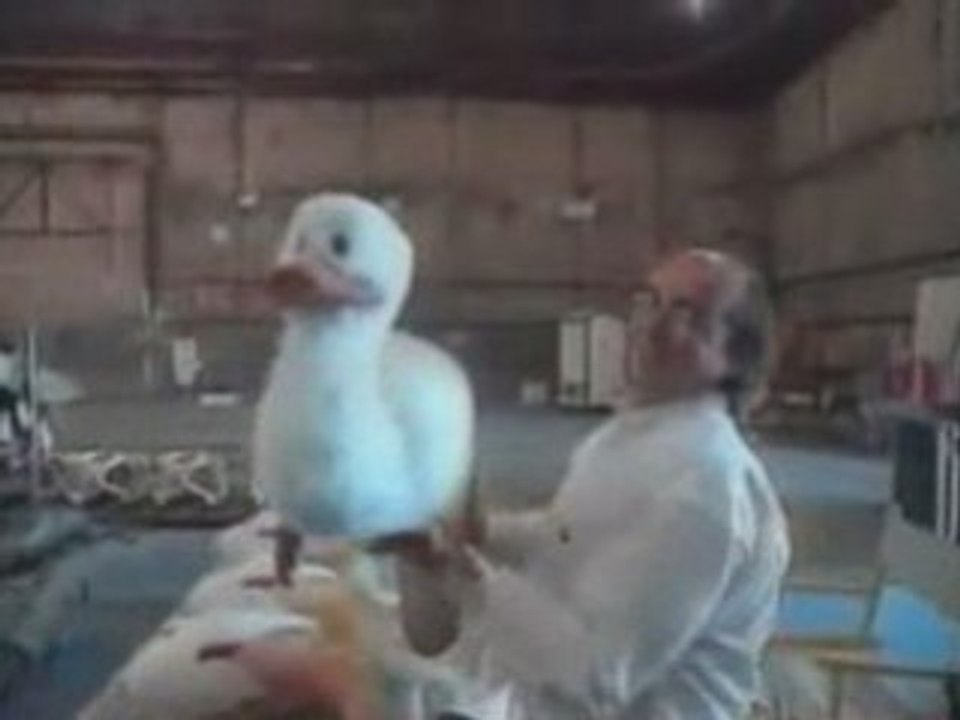 Michael Jackson Dreams_Making Of