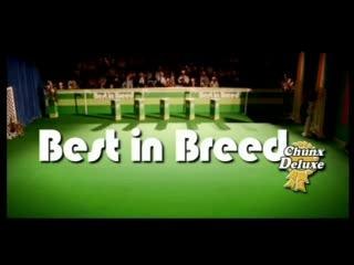 Tim Deluxe - Less Talk More Action