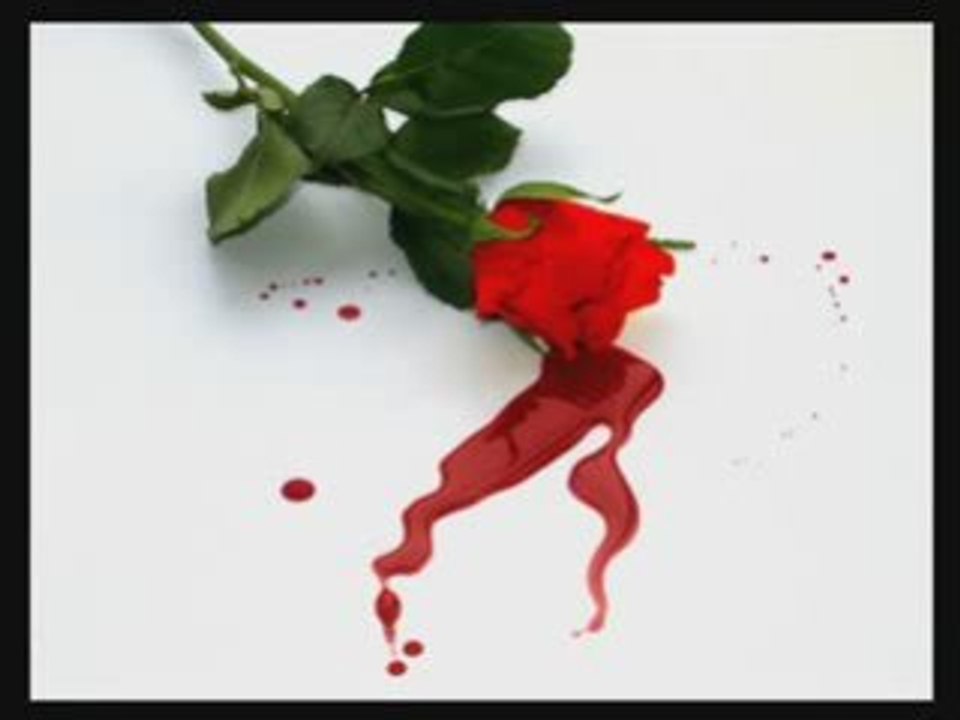 ΩΡΕΣ ΑΤΕΛΕΙΩΤΕΣ-ΦΙΟΝΑ ΤΖΑΒΑΡΑ