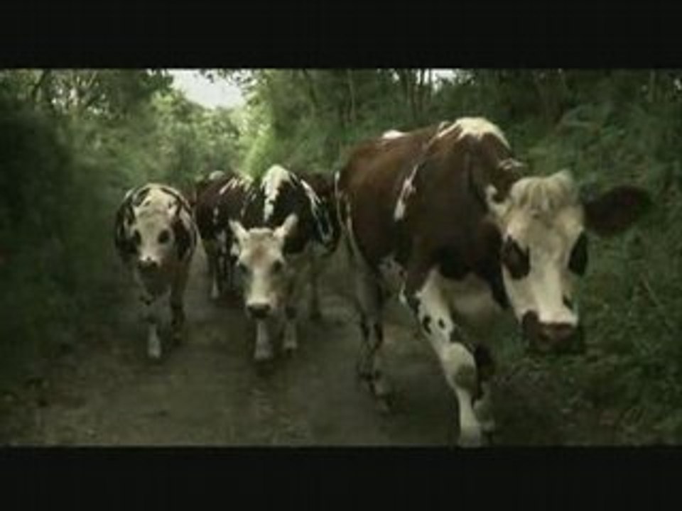 Clôture (extrait)