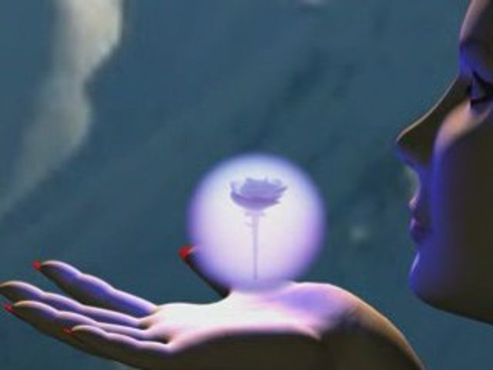 La plus belle Fleur du Jardin