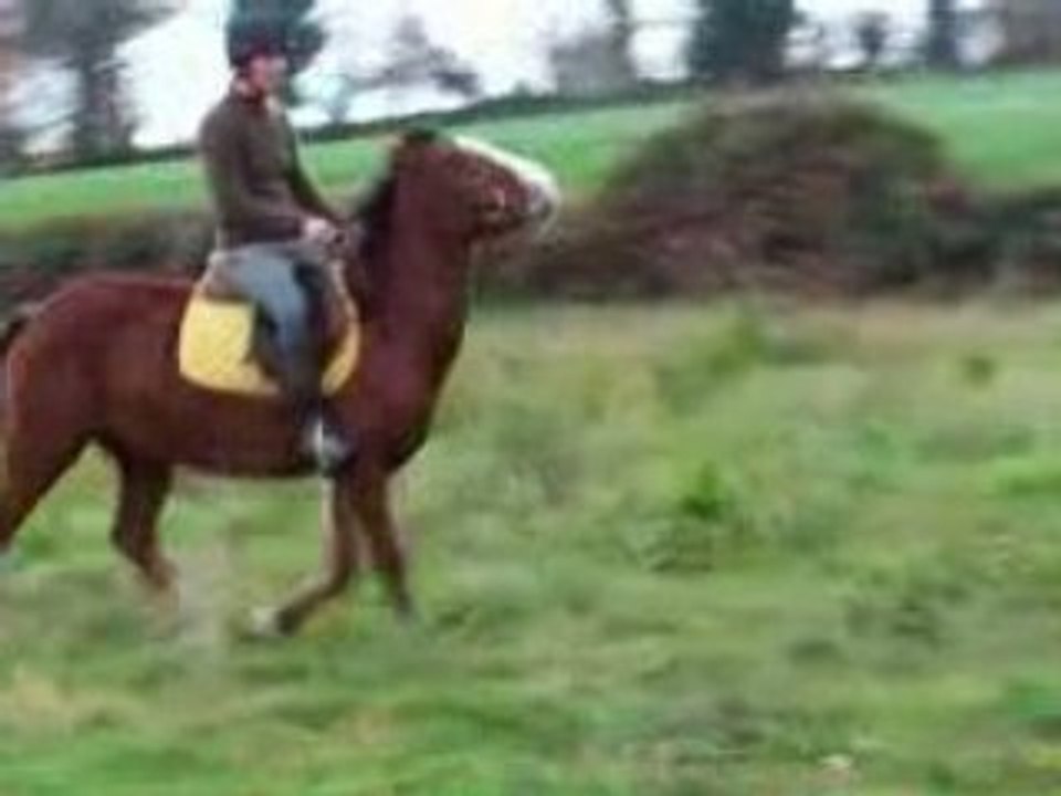 Galop 1