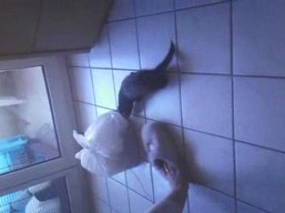 Furet ZiouFa