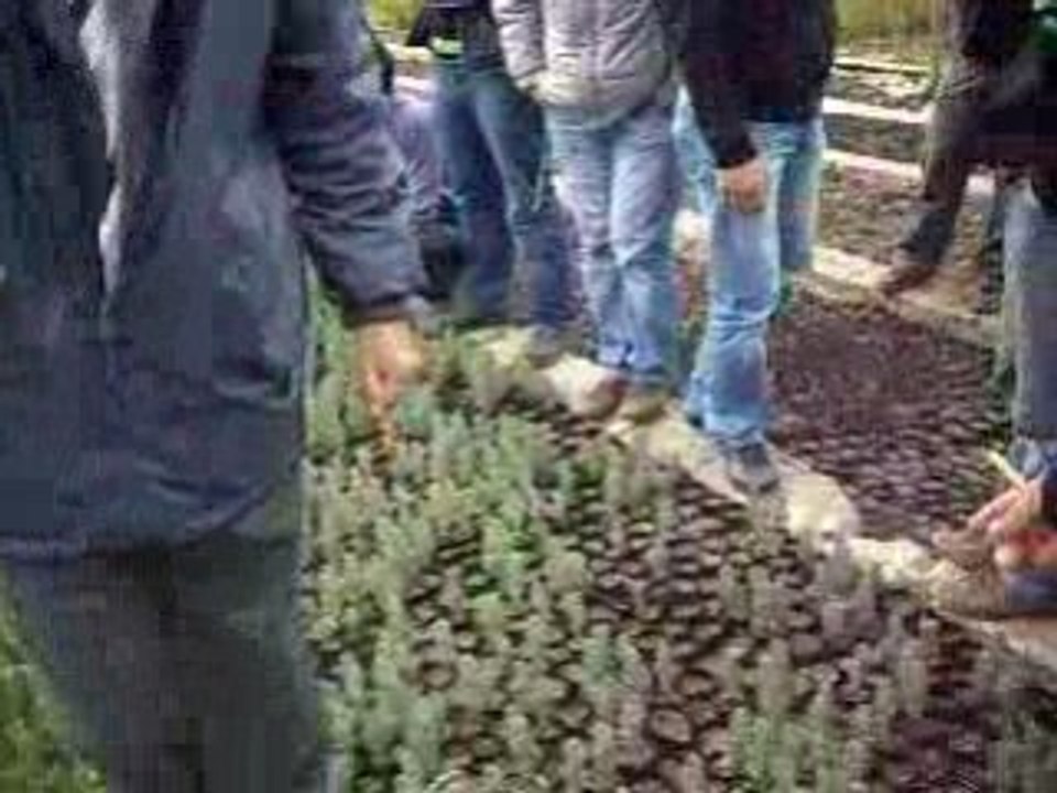 ARTVİN ÇORUH ÜNİVERSİTESİ (AÇÜ)