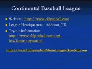 Independent Baseball Leagues (For 2009)