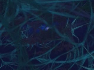 -MikeSlam- Mvt cyclique