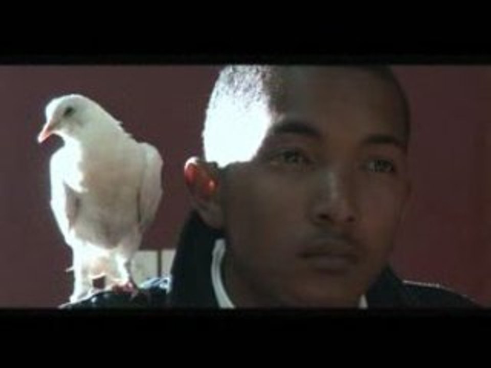 Wisdom in memory - Zanak'adala