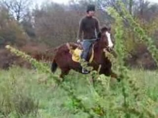 travail poulain Trot 2