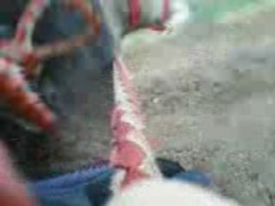 sherazad en cordelette