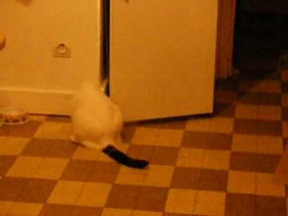 Mimo's frigo