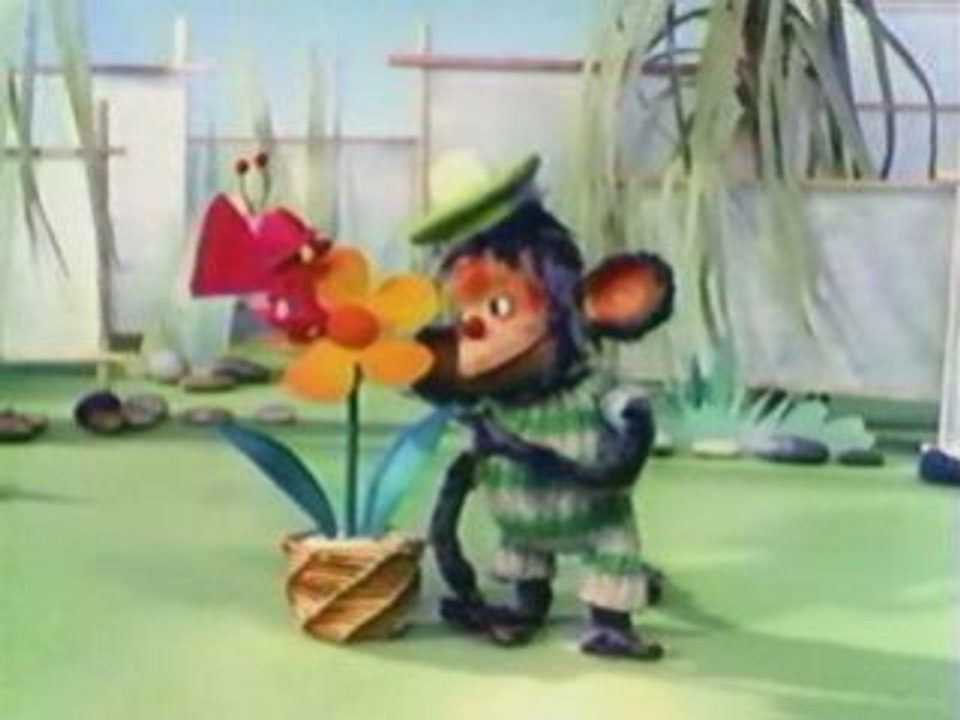 Pépin la Bulle - Garatakeu aime les fleurs