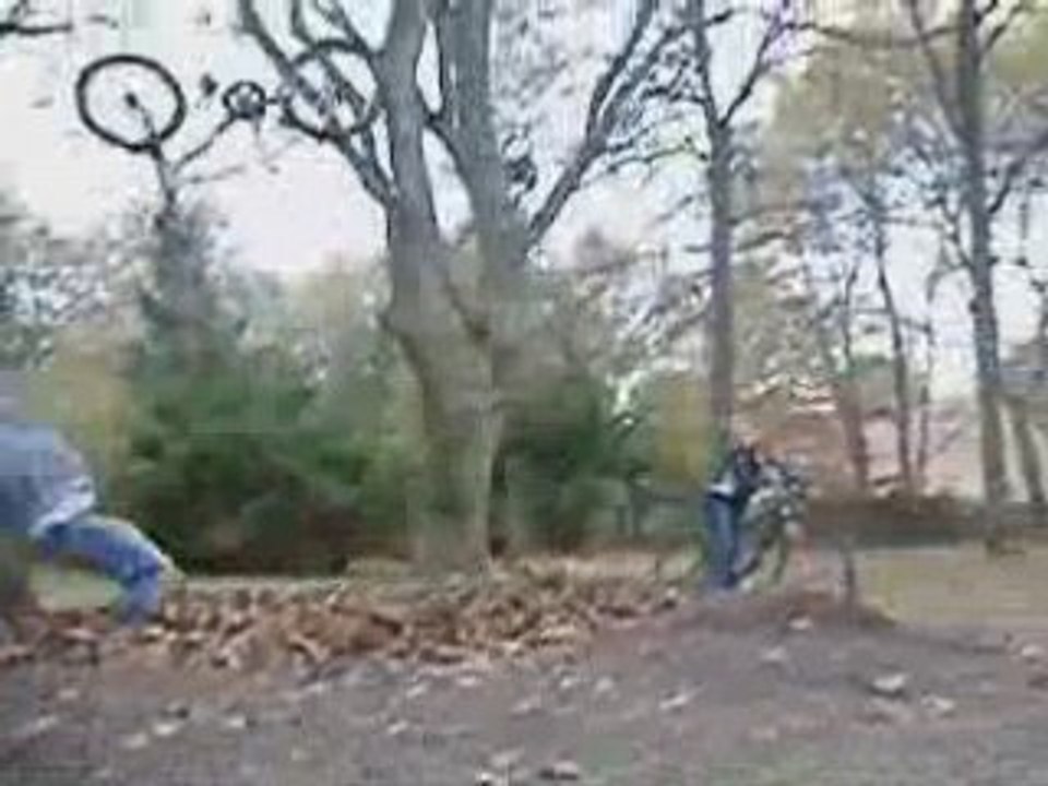 Bac a feuilles jungle's trail