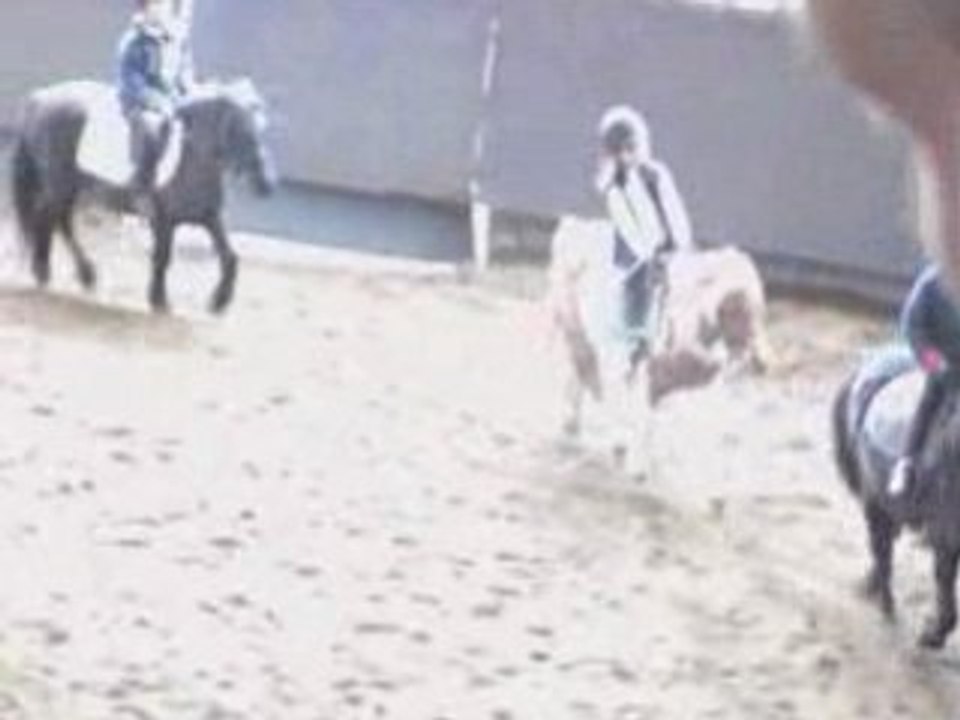 Barres au sol 2.2