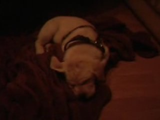 C'est lui Hibernatus