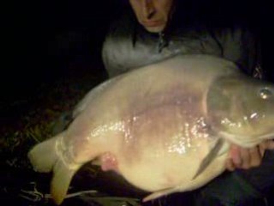 carpe de 22k canal a nancy le 18 11 2008