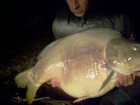 carpe de 22k canal a nancy le 18 11 2008