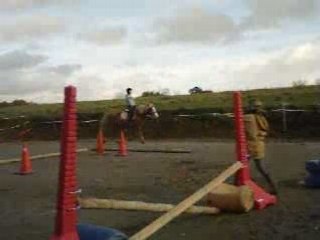 au travail cavaliers et chevaux