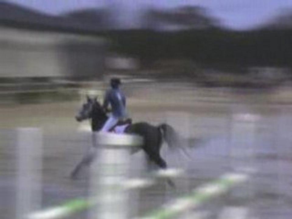 Mathieu et Princesse 1