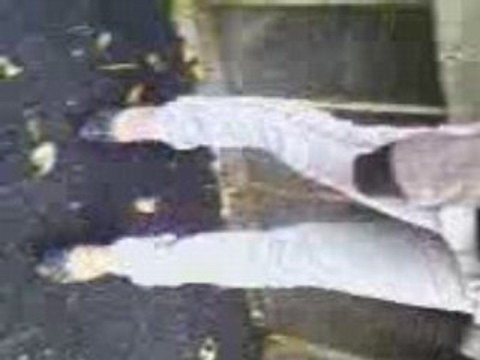 amandine