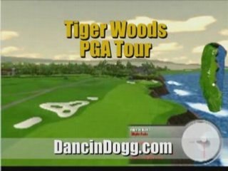 How the Dancin' Dogg Home Golf Simulator Works