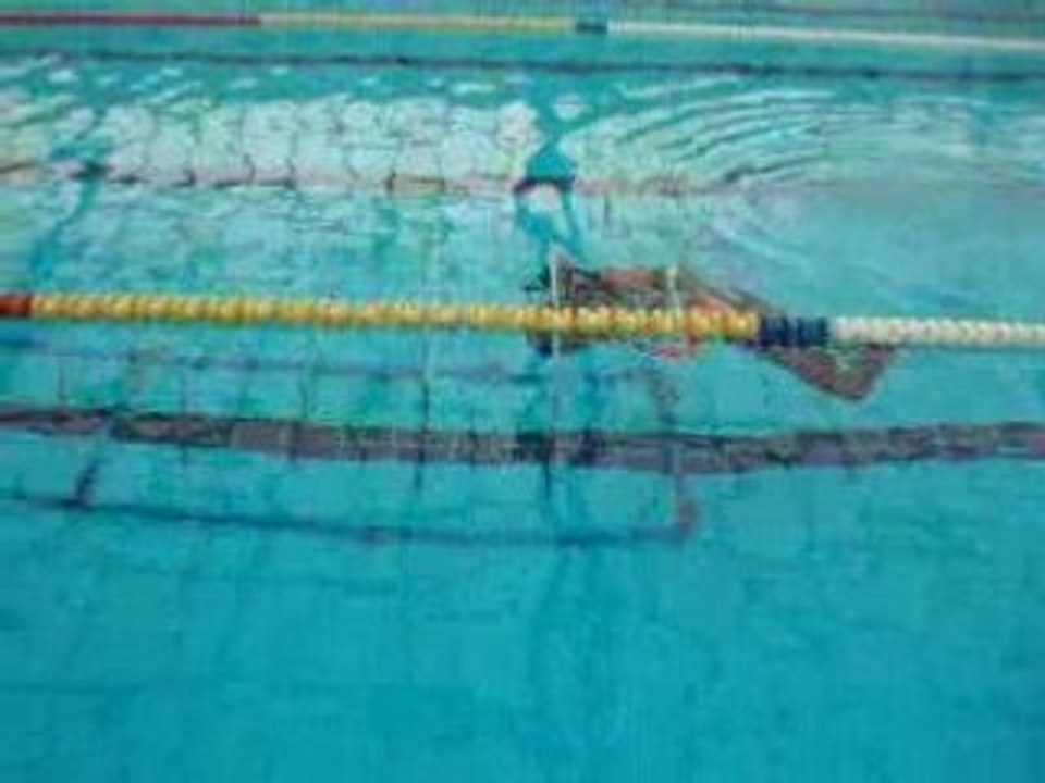 Buceo Valejalon