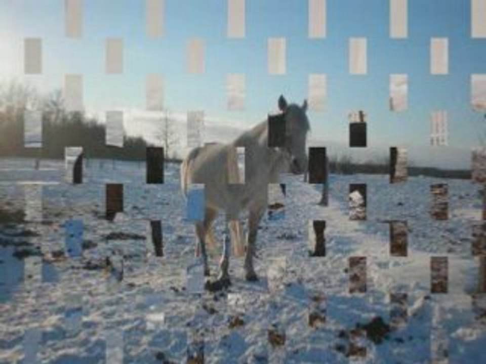 Montage canada_0001