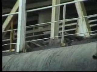 Wool: Australia's Secret Shame