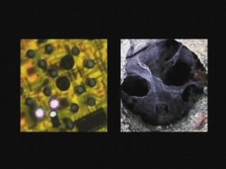 Zoomin'out / Gregory Mc Grew