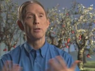 Coraline - Higher_Dimensions