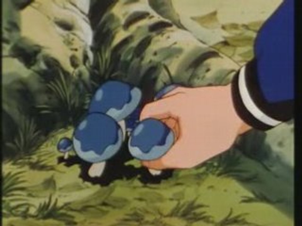 Max et compagnie 33