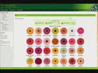 melma.pl - projektowanie stron