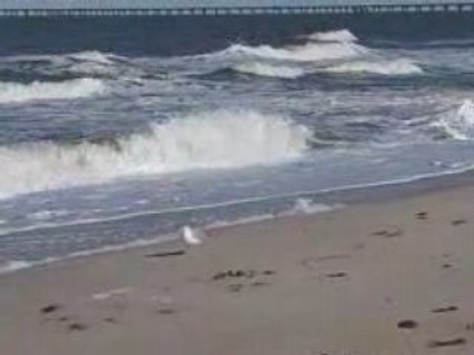 Virginia Beach