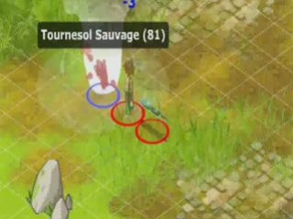 Dofus Kimur Sacri Agi