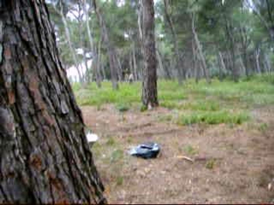 tchou tchou + croutrage