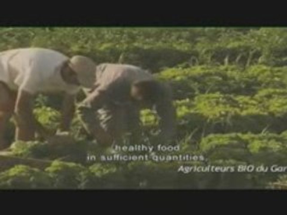 Nos enfants nous accuseront