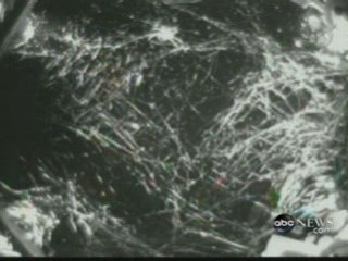 Arañas en el espacio