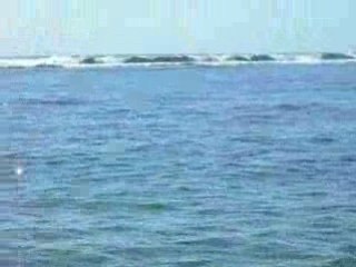 Eliot et ludo ds l'eau titouan cour4.11.08t