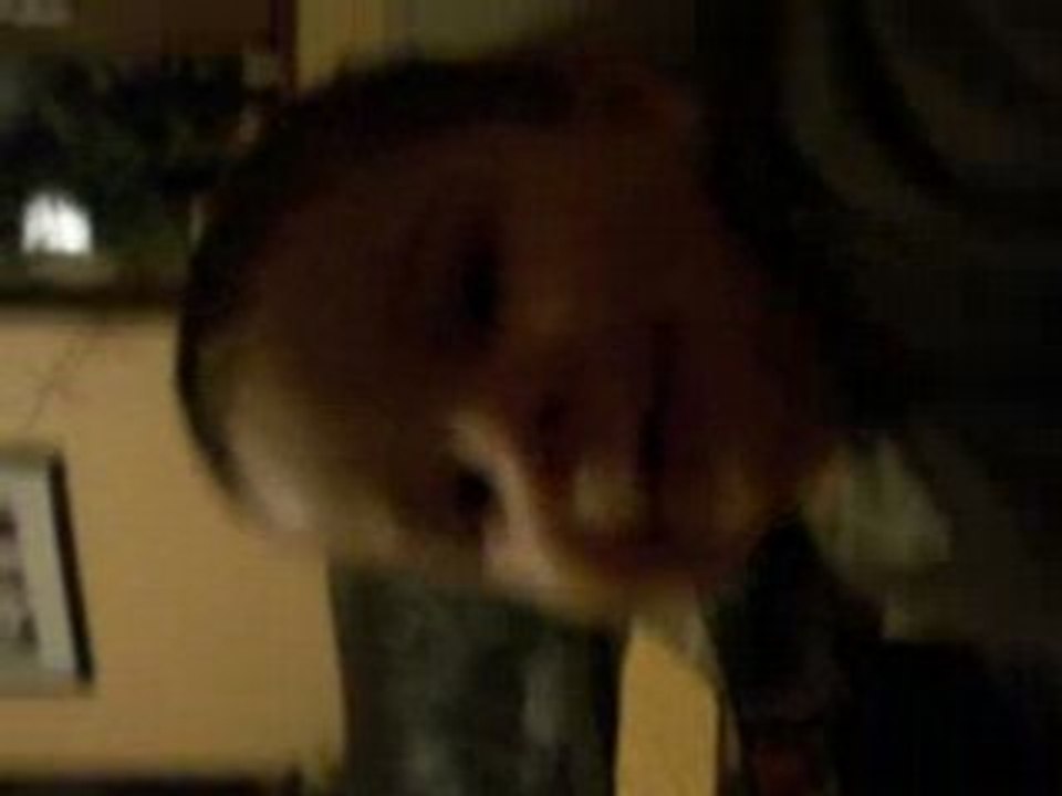 Lala Noah pousse la chansonnette