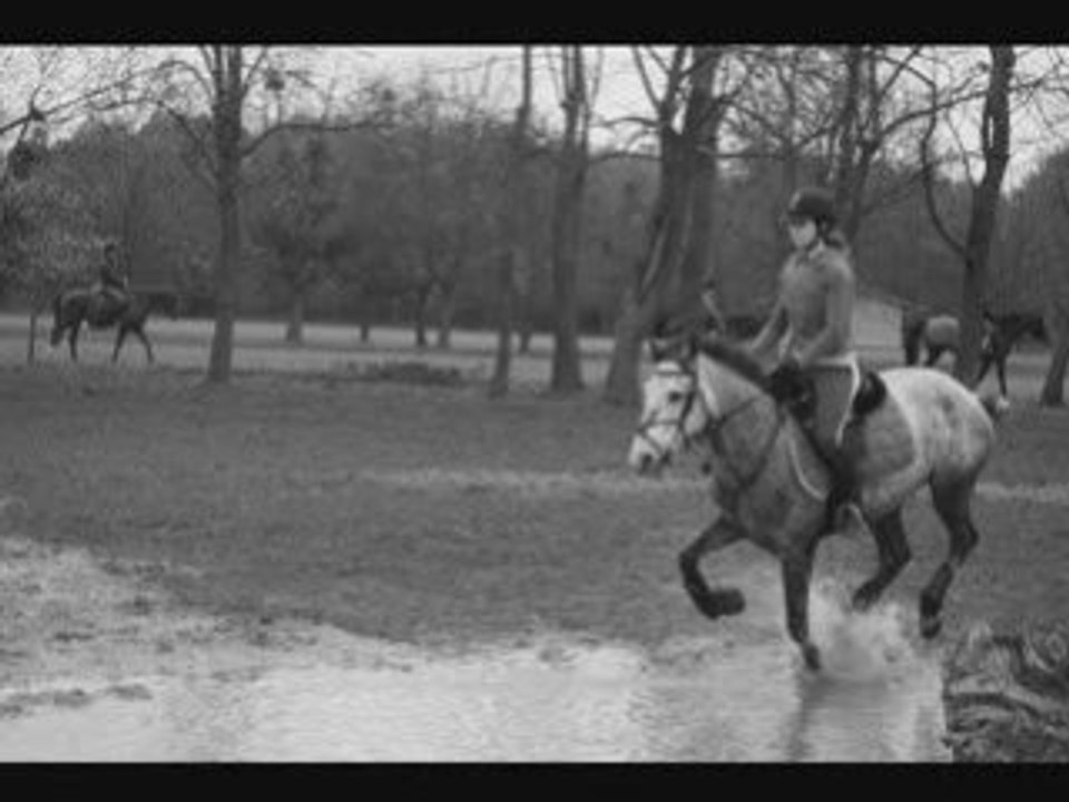 Silver et moi Cross 16.11.08